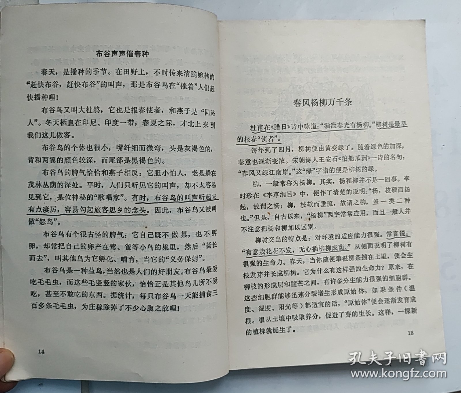 点击查看原图 知识之花第二辑