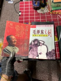 毛泽东诗词鉴赏（共2本）
名将之星许世友
毛泽东之剑