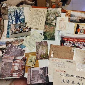 茶圣王先生郁风存中国古茶树照片及资料