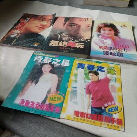 拒绝再玩《张国荣魂断香江》、童话里的公主《梁咏琪》、青春之星《港剧红星日历手册，2册》、叛逆小子——谢霆锋