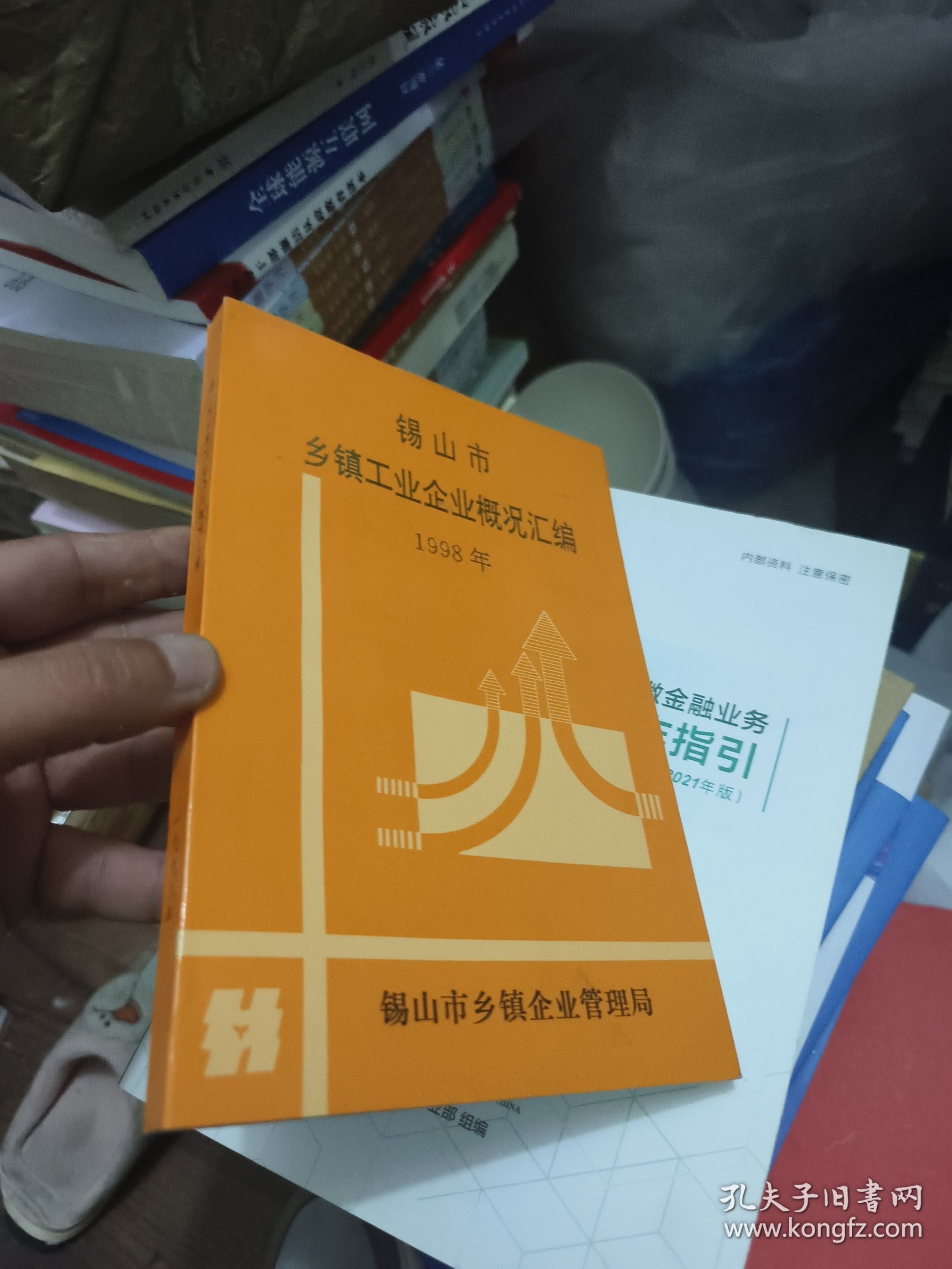 锡山市乡镇工业的兴起与发展:农村工业史纪实