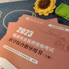 人卫版·2023临床执业医师资格考试医学综合指导用书（全2册）·2023新版·医师资格考试