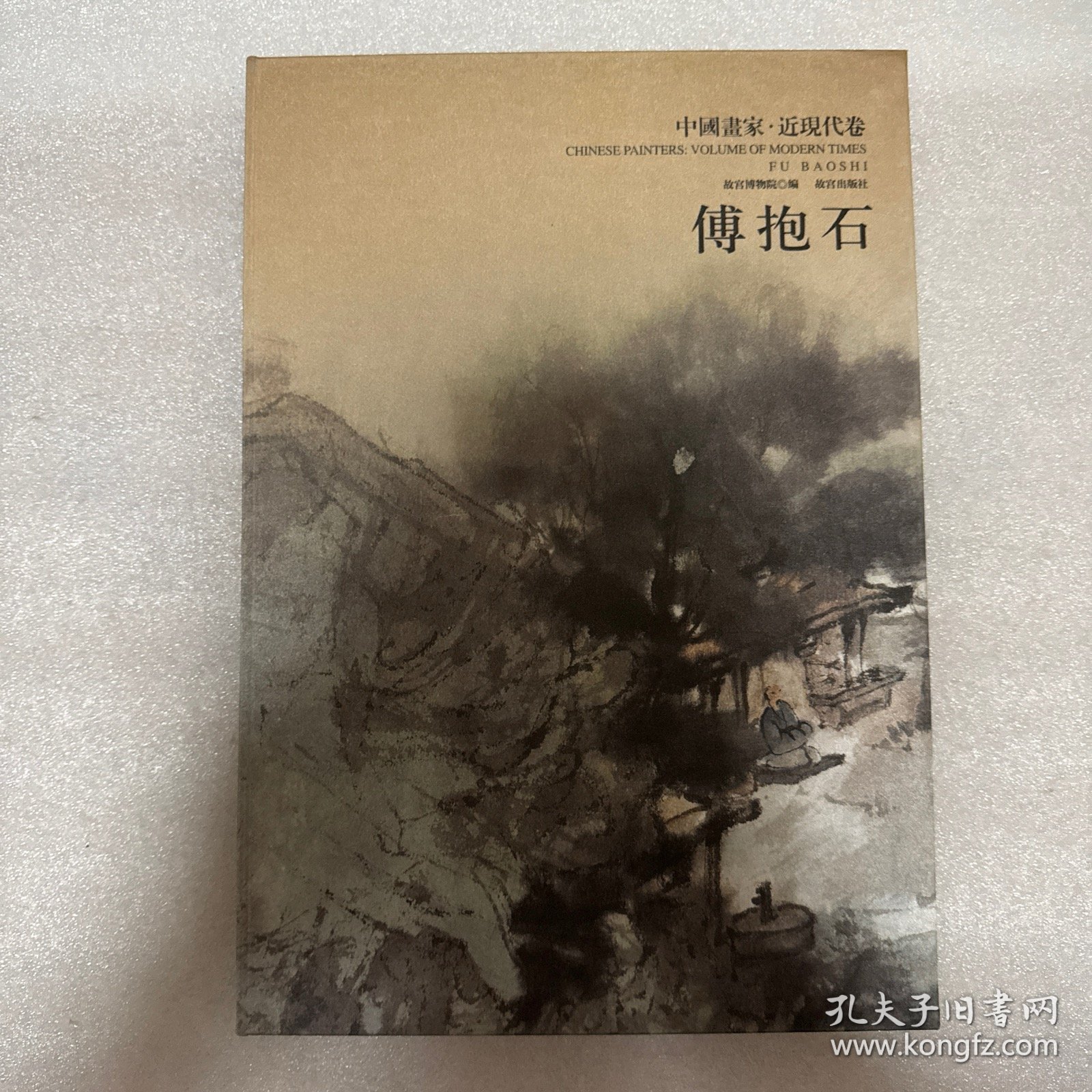 中国画家. 近现代卷. 傅抱石（没盒）