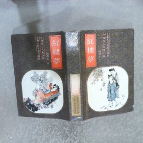 中国四大古典小说红楼梦 绘画本 二