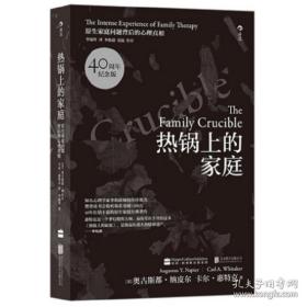 热锅上的家庭：家庭问题背后的心理真相