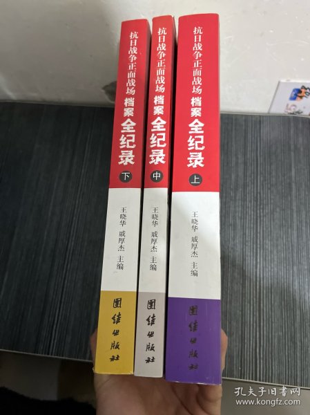 抗日战争正面战场档案全纪录（上、中、下）