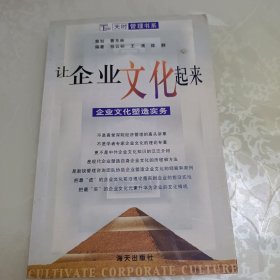 让企业文化起来：企业文化塑造实务