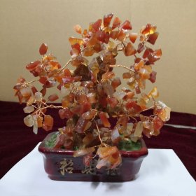 红玛瑙招财树，高18.宽17