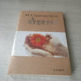 用梦想填平沟壑