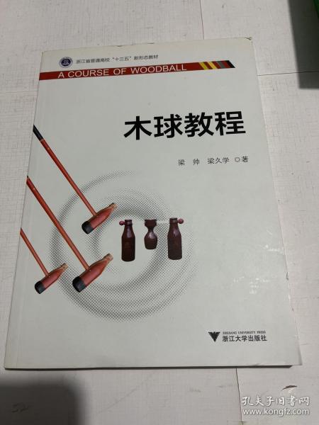 木球教程/浙江省普通高校“十三五”新形态教材