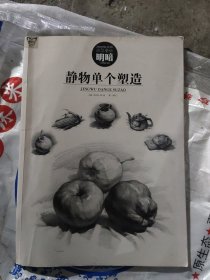 画中话 造型基础明暗：静物单个塑造[不缺页无写划](b8开)