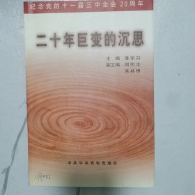 二十年巨变的沉思