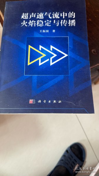 空天技术前沿研究丛书：超声速气流中的火焰稳定与传播