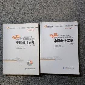 (2019)中级会计实务应试指导及全真模拟测试中级会计轻松过关（上下册）