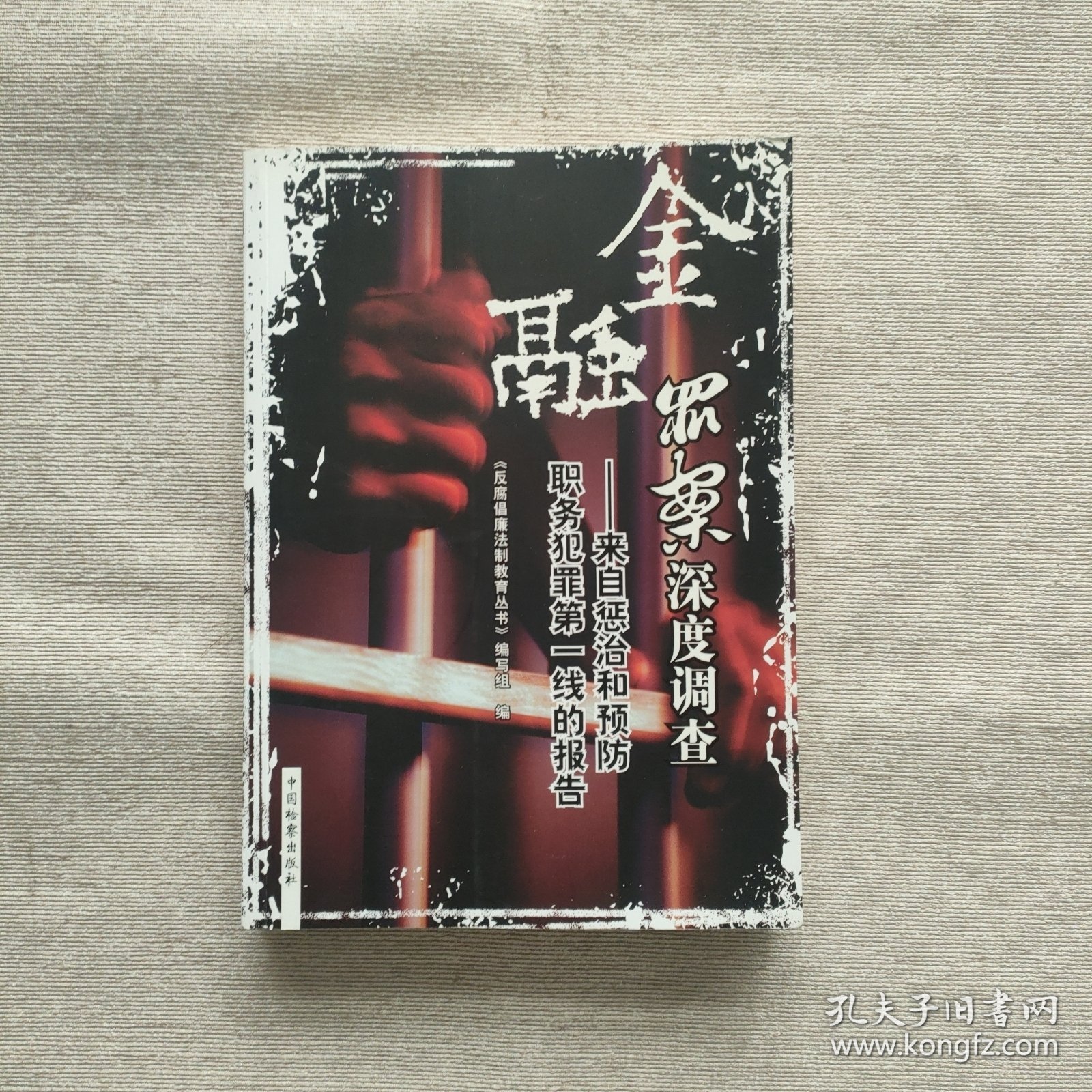 金融罪案深度调查：来自惩治和预防职务犯罪第一线的报告