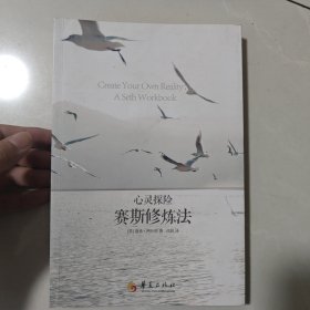 心灵探险：赛斯修练法