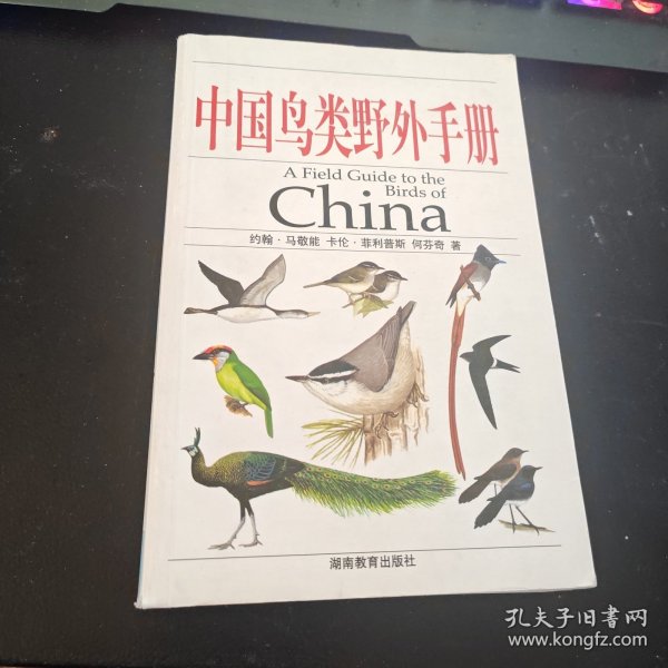 中国鸟类野外手册