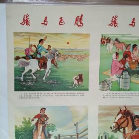 1975年印的2开年画-骏马飞腾，两张一套