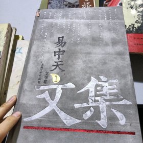 易中天文集1：文学卷