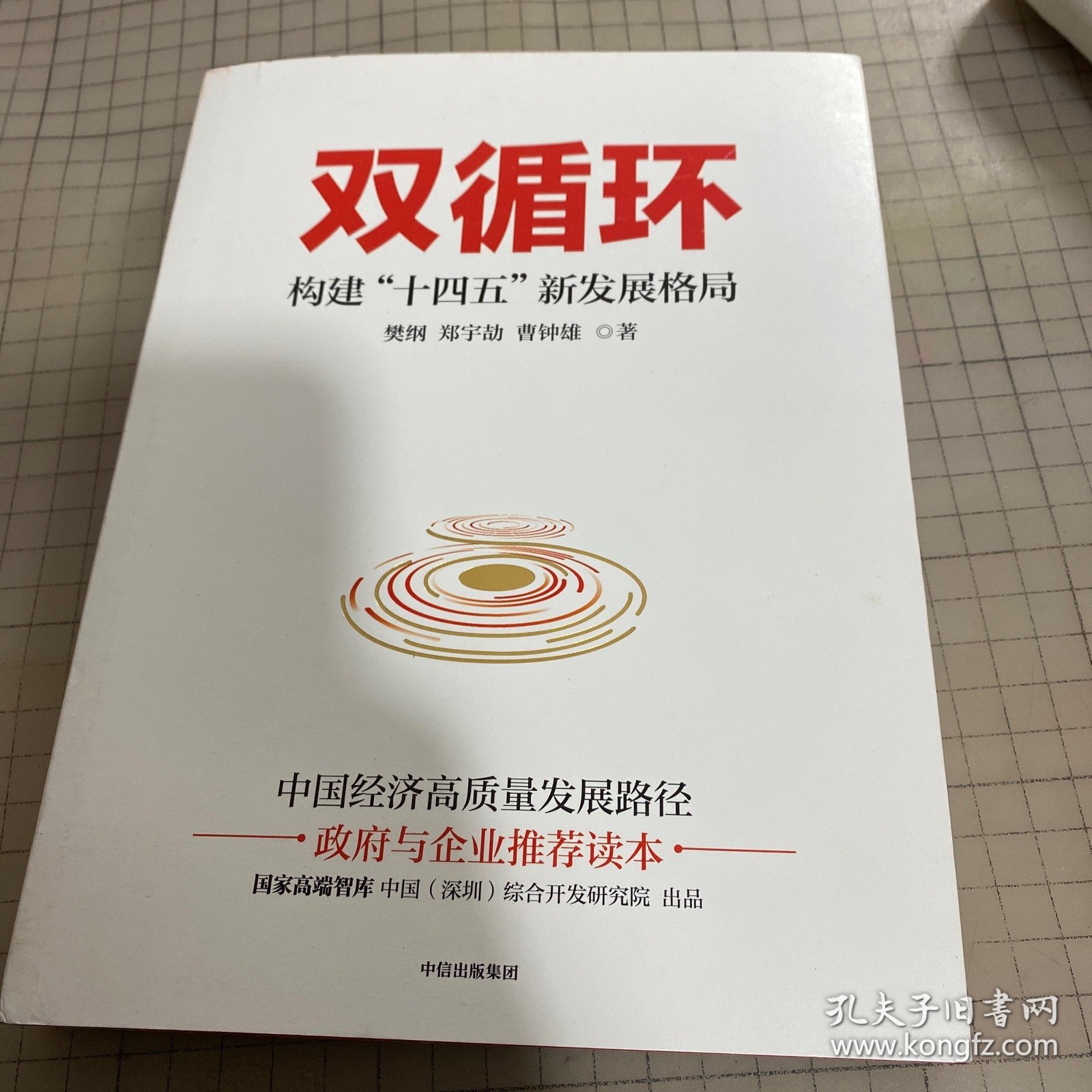 双循环构建十四五新发展格局双循环与我们的关系樊纲作品国家高端智库出品政府和企业推荐读本