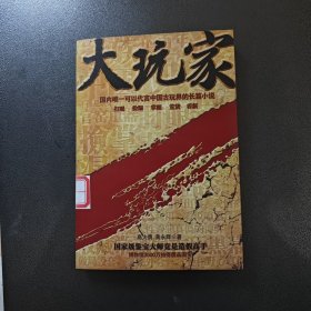 大玩家：国内唯一可以代言中国古玩界的长篇小说