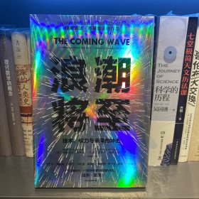 浪潮将至 技术、权力与未来的冲击