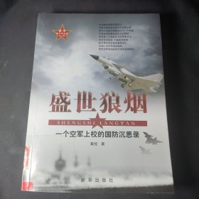 盛世狼烟：一个空军上校的国防沉思录