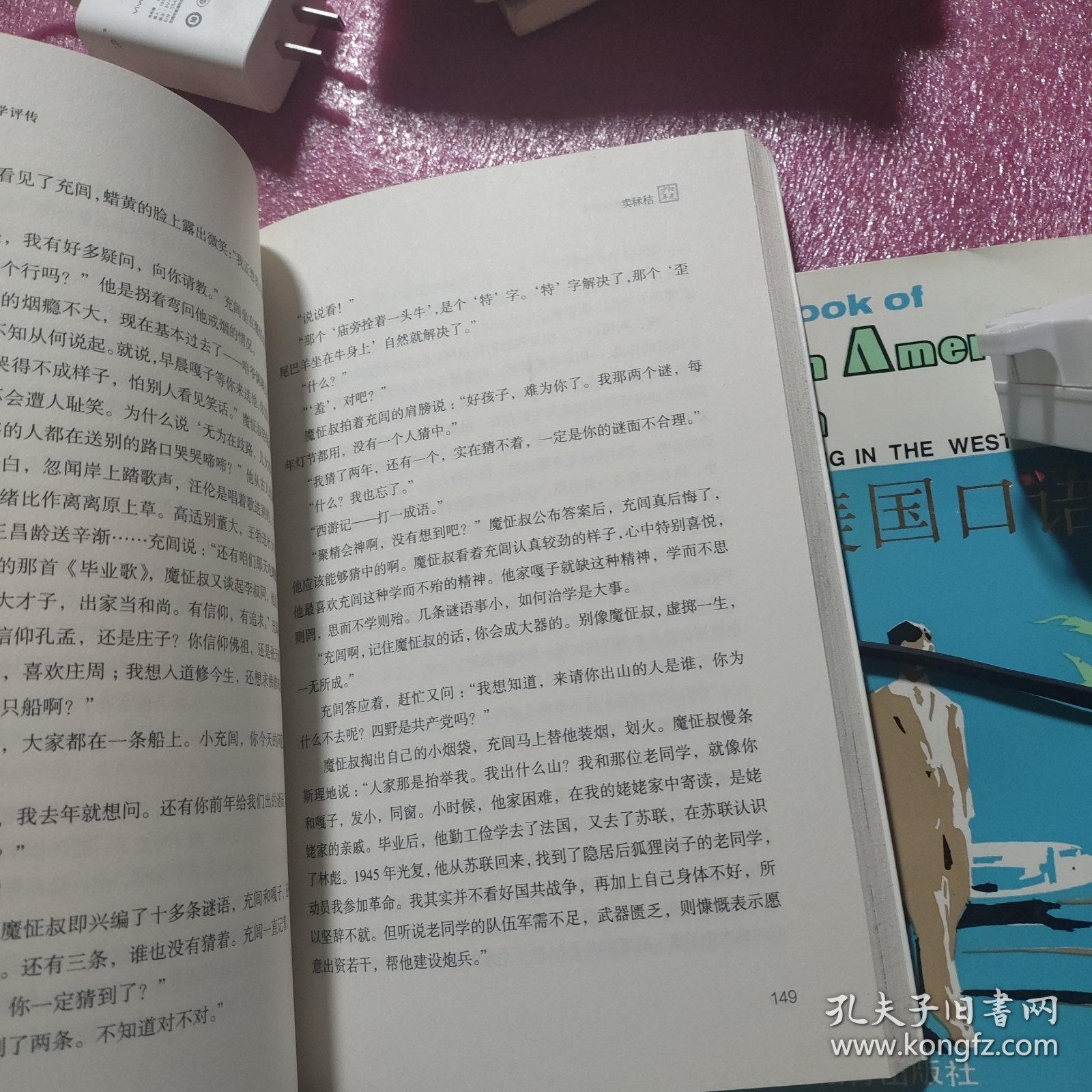 阳光少年 王充闾文学评传