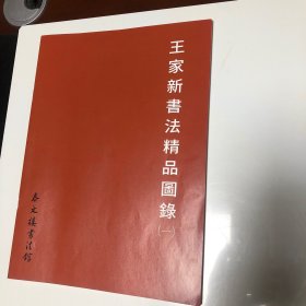 王家新书法精品图录（一）