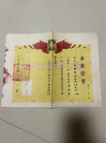 1952年西安市西一路第二小学任兰英毕业证书