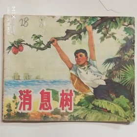 消息树