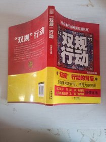 雙規(guī)行動