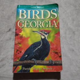 BIRDS OF GEORGIA