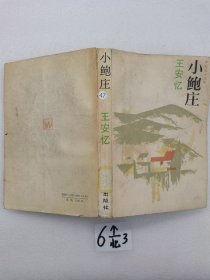 小鲍庄 王安忆