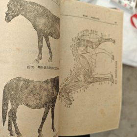 中兽医针灸学（正版书）1959年9月