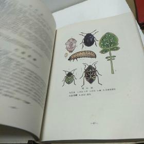 宁夏农业昆虫图志 （修订版）+（第二集）二册合售