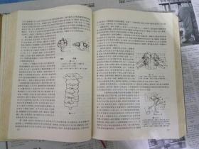 李祖谟论中国传统手法医学（中国建材工业出版社1998年一版一印）16开〈仅印3500册〉此书只发快递，挂刷不发。