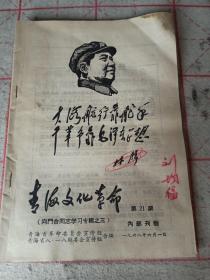 青海文化革命   第21期
