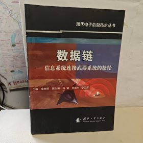 数据链：信息系统连接武器系统的捷径