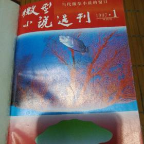 微型小说选刊 1997上半年（1--12）合订本