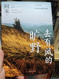 去有风的旷野