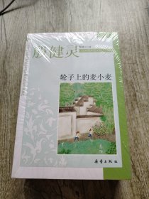 蜻蜓，蜻蜓、月亮茶馆里的童年、轮子上的麦小麦、看着你的眼睛——殷健灵经典爱藏(套装4册 未拆封)