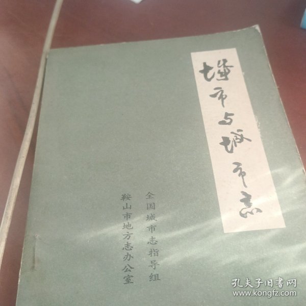 城市与城市志