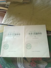 大卫科波菲尔（上下）