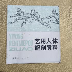 医用人体解剖资料