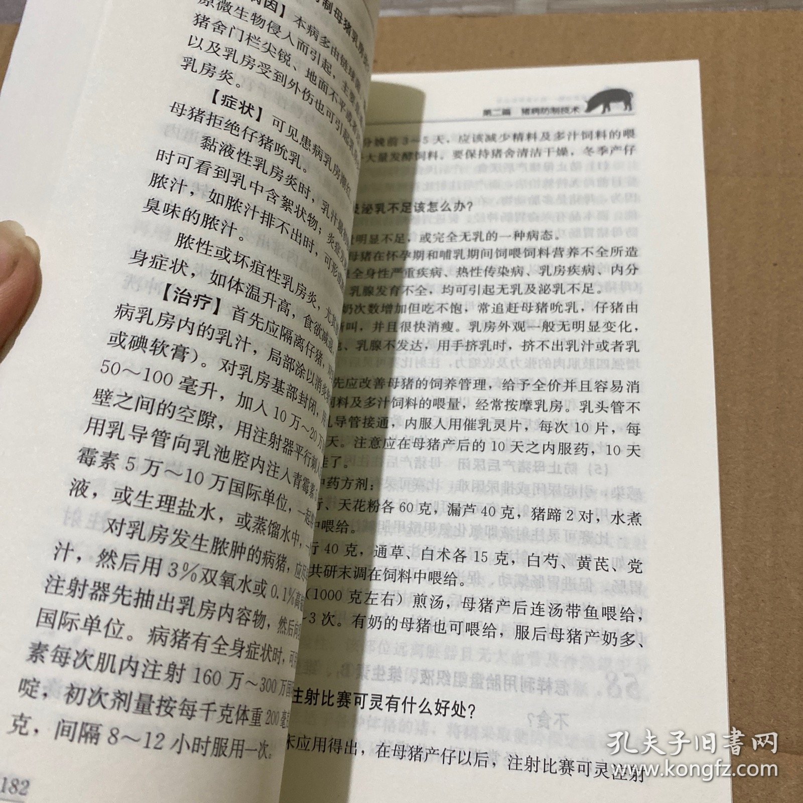 最新养猪窍门百问百答