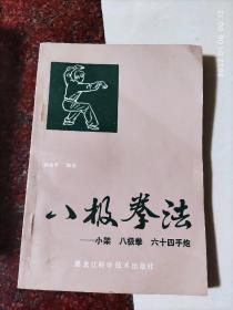 八极拳法，小架八极拳六十四手炮，孙亮亭，85品