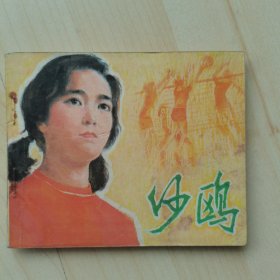 电影连环画册：沙鸥