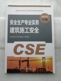 安全生产专业实务建筑施工安全 2019版 中级  全国中级注册安全工程师职业资格考试辅导教材