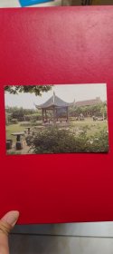 上世纪八十年代 中国纺织大学 校园风景 明信片